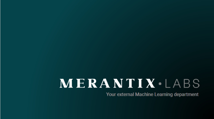Merantix Blog Teaser Image